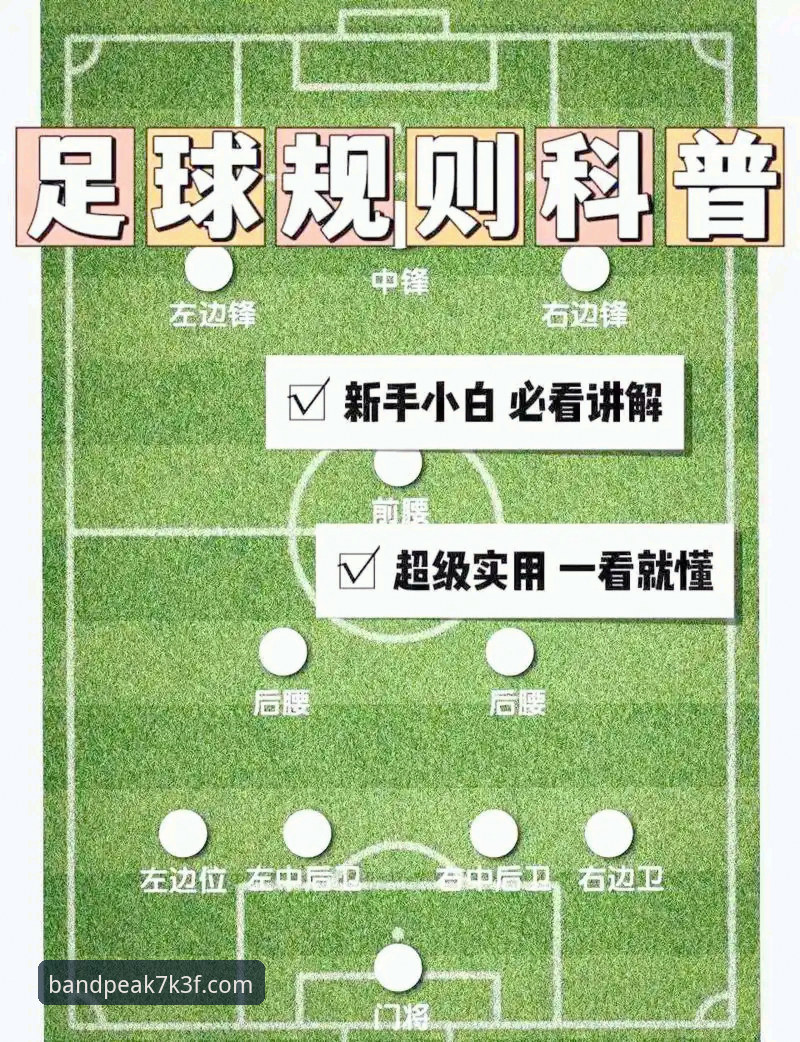 半岛体育竞猜功能实用指南：从入门到精通的必备知识