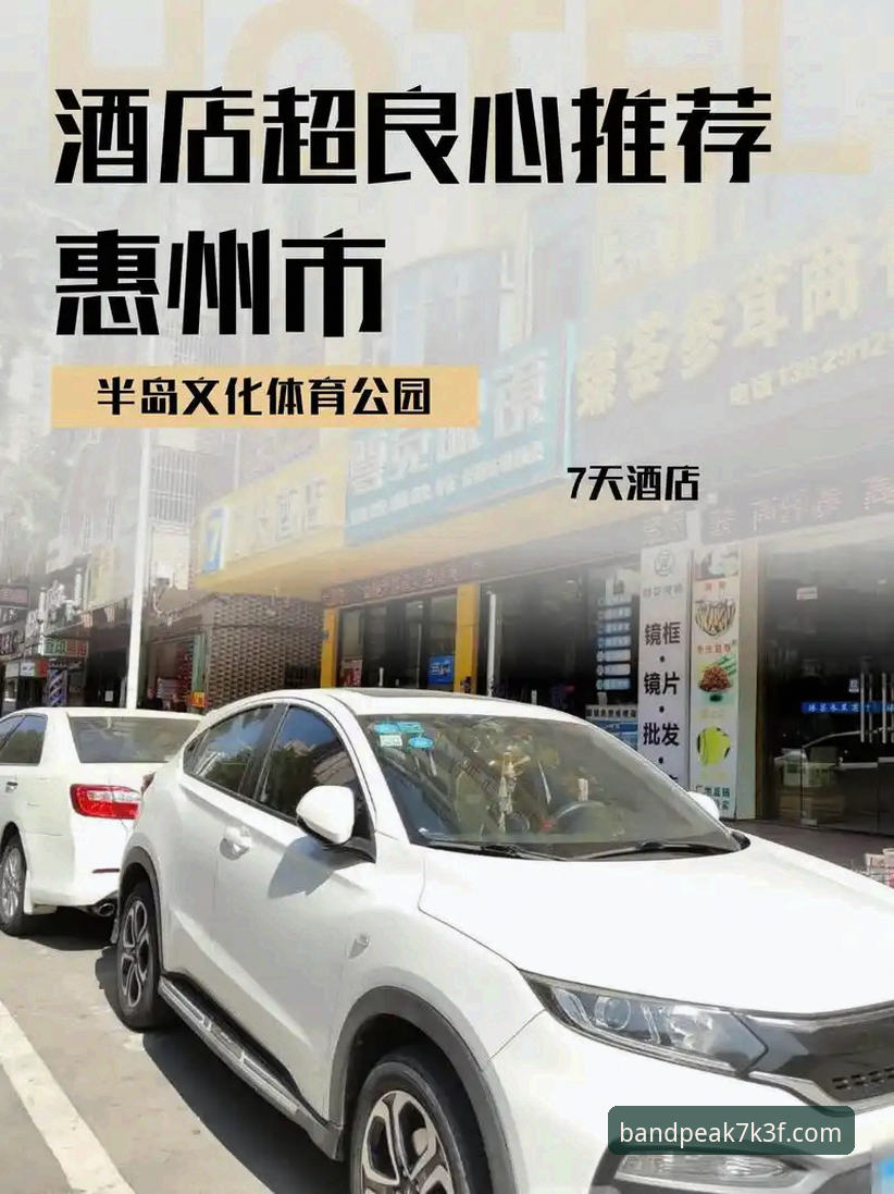 半岛体育体育竞猜 半岛体育平台竞猜功能实用指南:从入门到精通的必备知识