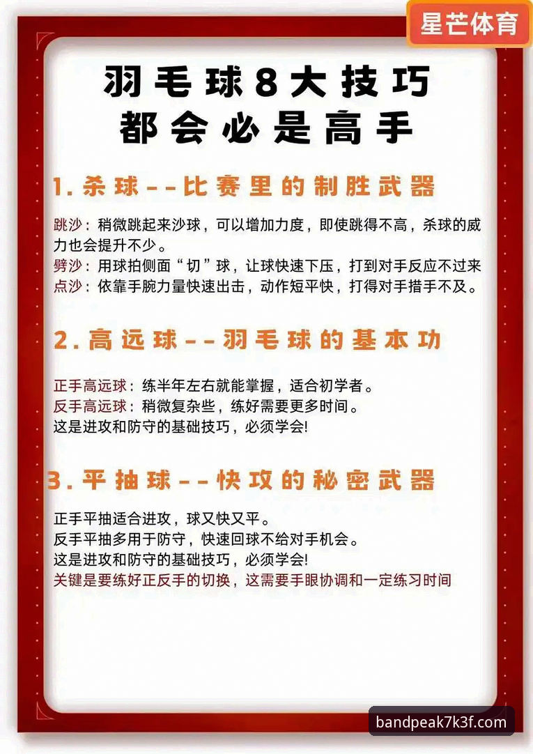 半岛体育更新手机版实用指南——新手必备的操作技巧与注意事项